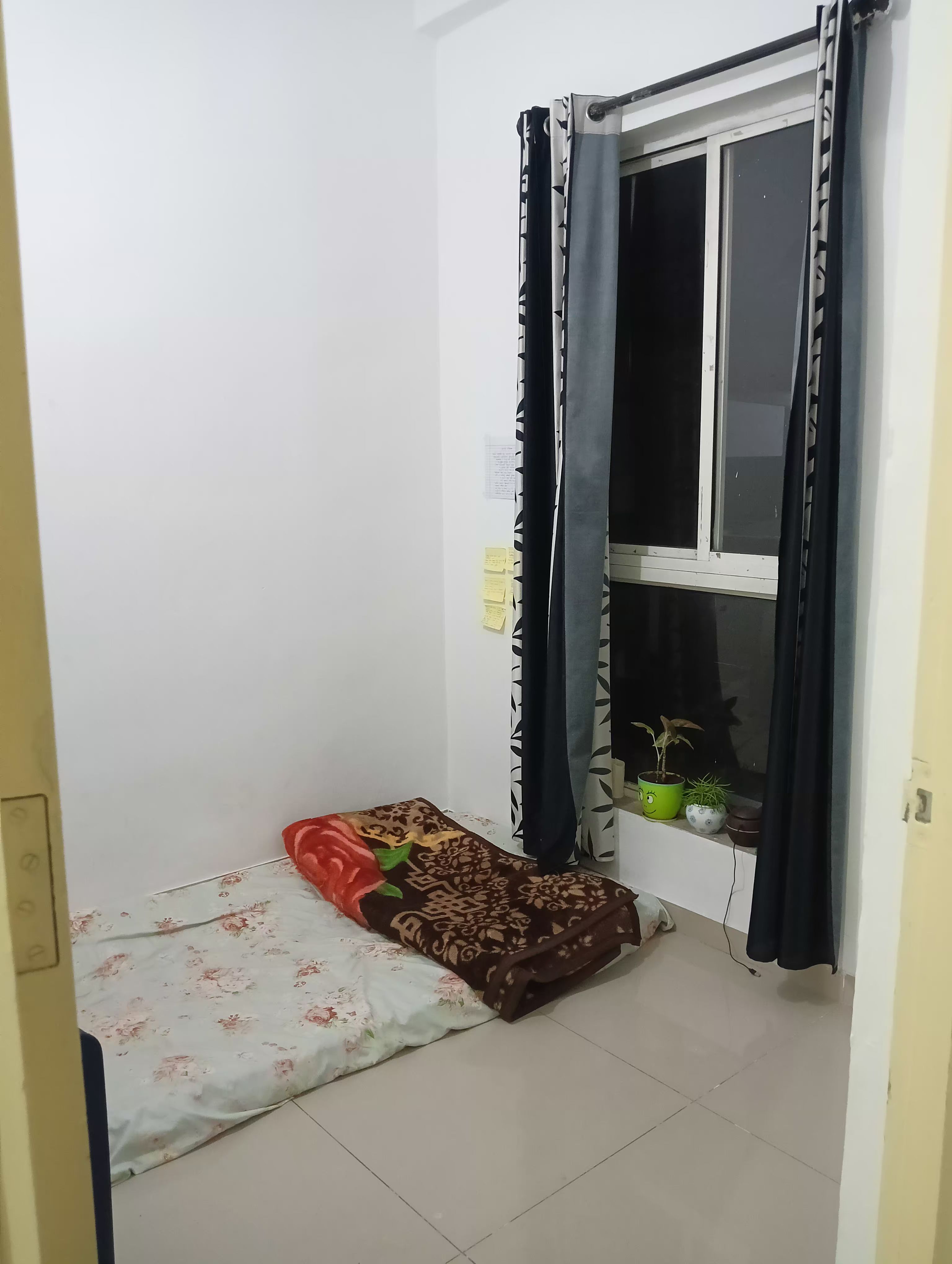 1BHK room listing in Hinjewadi Phase 2, Pune