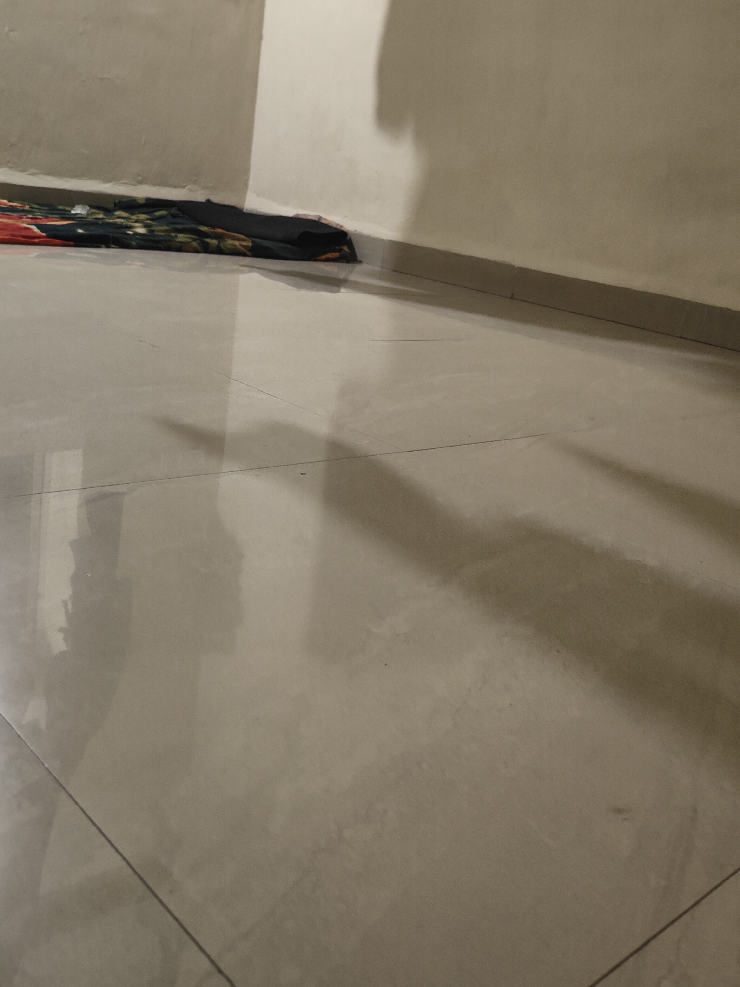 1BHK room listing in Old Sangvi, Pune