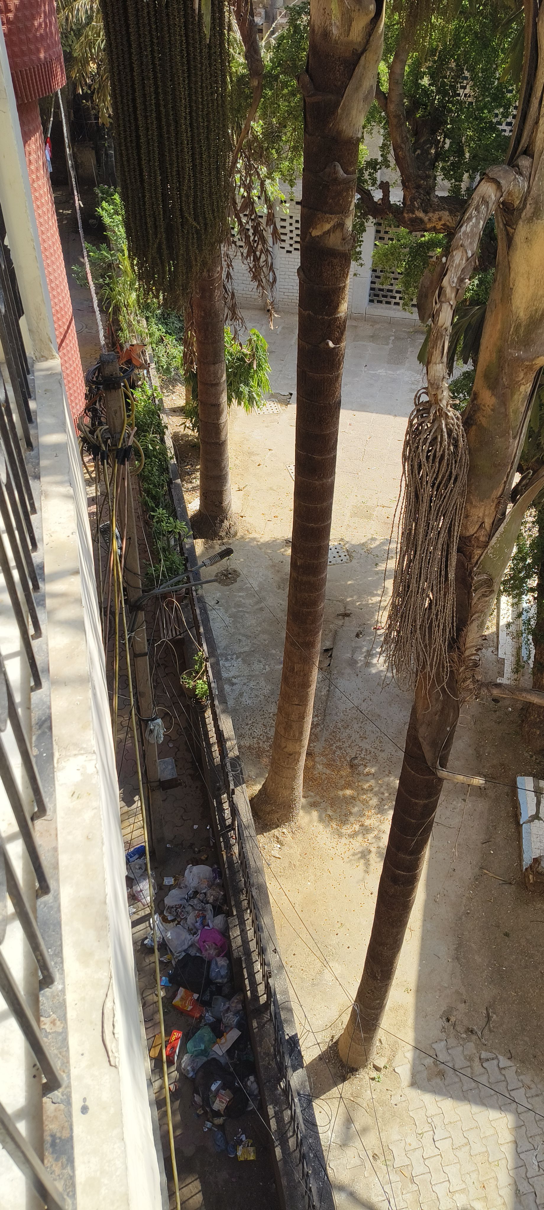 1BHK in Balaji Nagar, photo 2